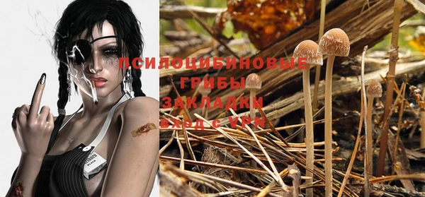 молекула духа Беломорск