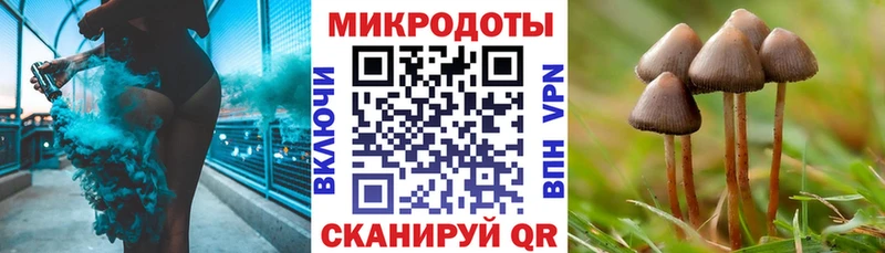 Псилоцибиновые грибы Cubensis Озёрск